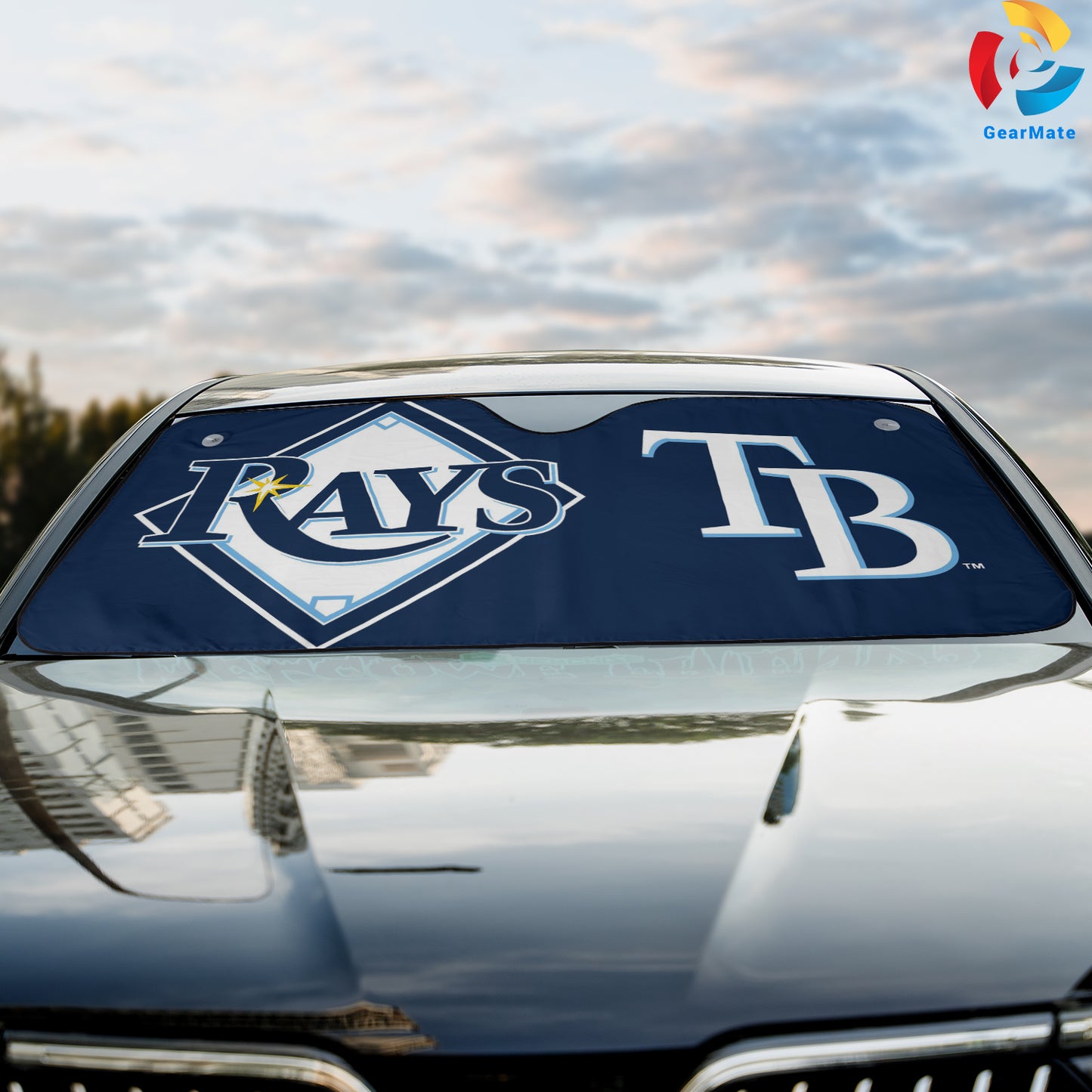 Tampa Bay Rays MLB Baseball Team Logo Car Cover Reflective Car Sunshade – Premium Heat & UV Protection, Universal Fit